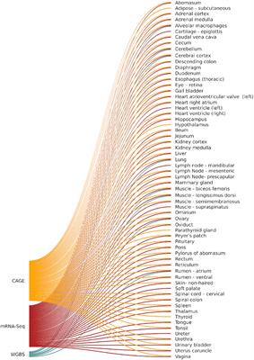 Global Analysis of Transcription Start Sites in the New Ovine Reference Genome (Oar rambouillet v1.0)